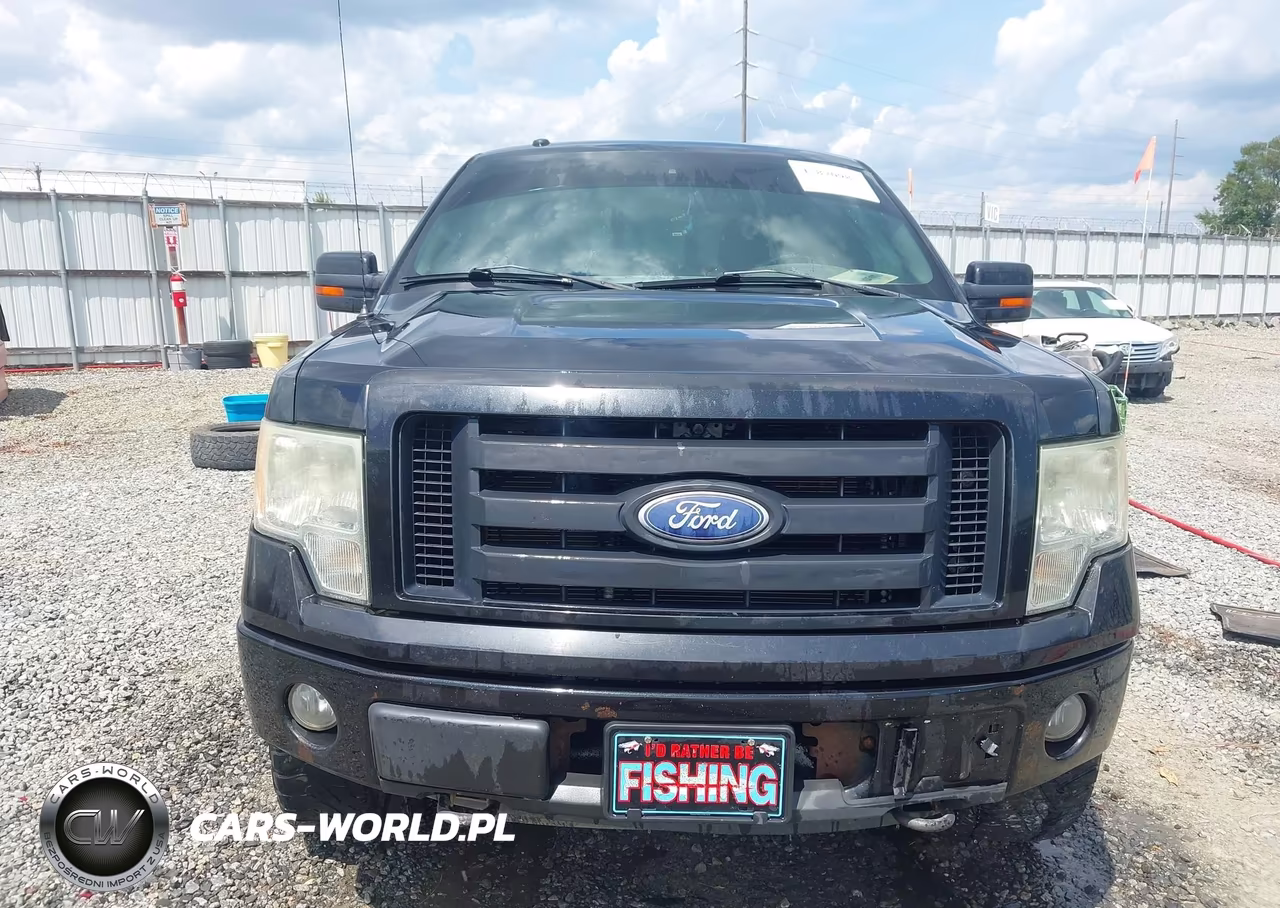 2010 Ford F-150 Fx4-Harley-Davidson-King Ranch-Lariat-Platinum-Xl-Xlt VIN:1FTFW1EV2AFA27279 - 12