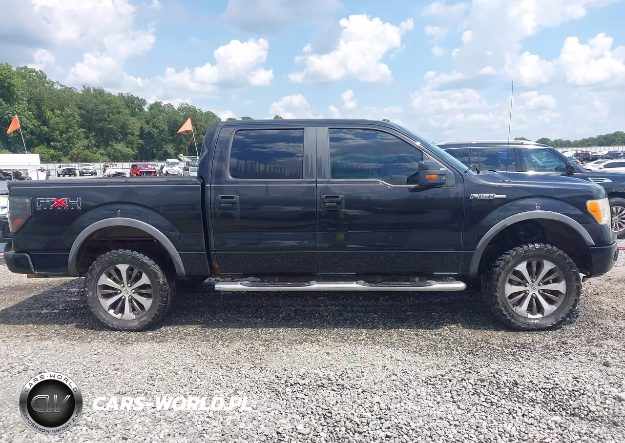 2010 Ford F-150 Fx4-Harley-Davidson-King Ranch-Lariat-Platinum-Xl-Xlt VIN:1FTFW1EV2AFA27279 - 13