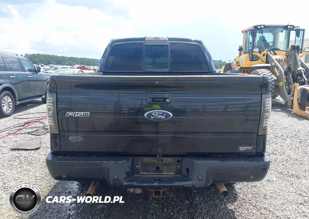 2010 Ford F-150 Fx4-Harley-Davidson-King Ranch-Lariat-Platinum-Xl-Xlt VIN:1FTFW1EV2AFA27279 - 16