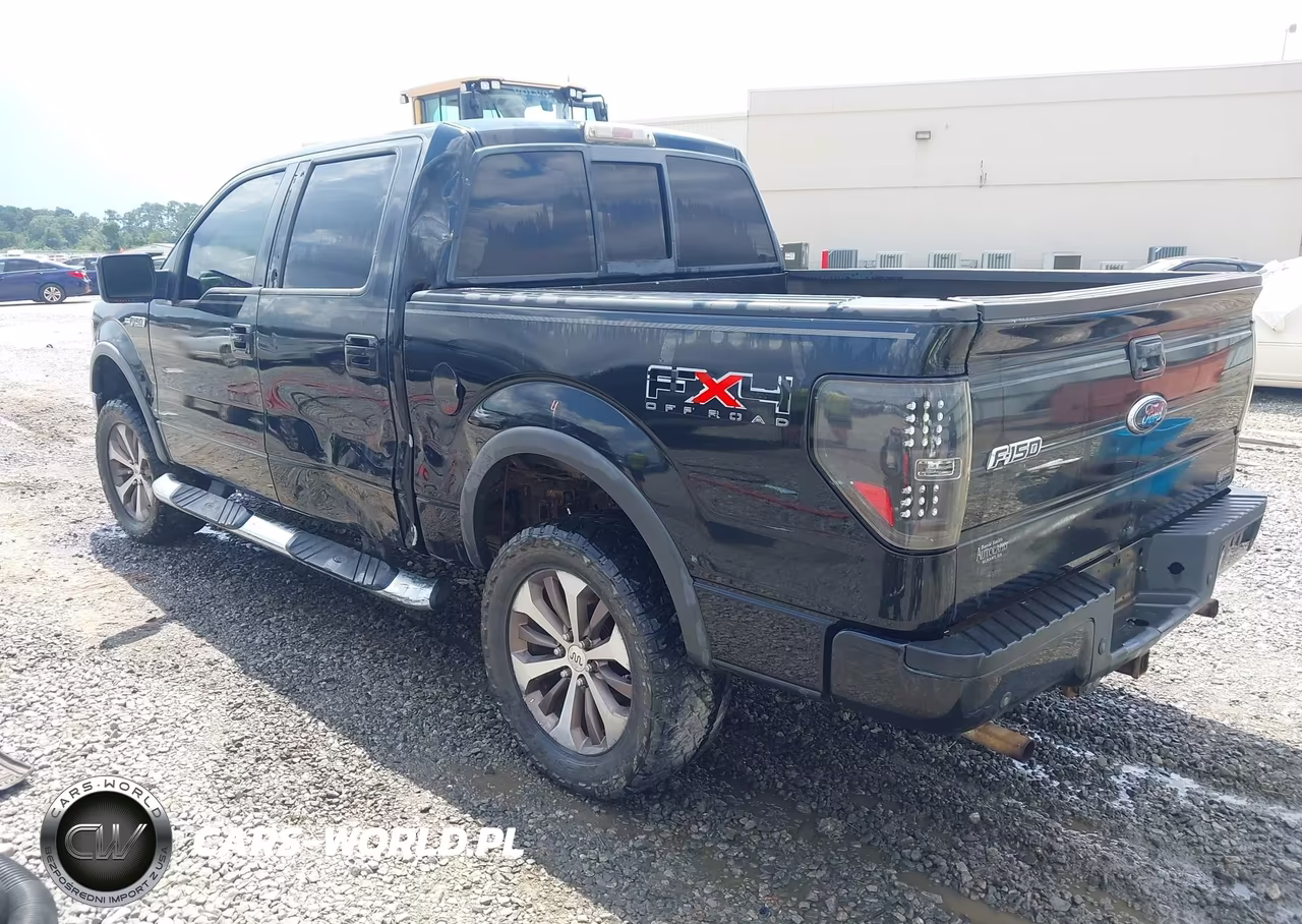 2010 Ford F-150 Fx4-Harley-Davidson-King Ranch-Lariat-Platinum-Xl-Xlt VIN:1FTFW1EV2AFA27279 - 3