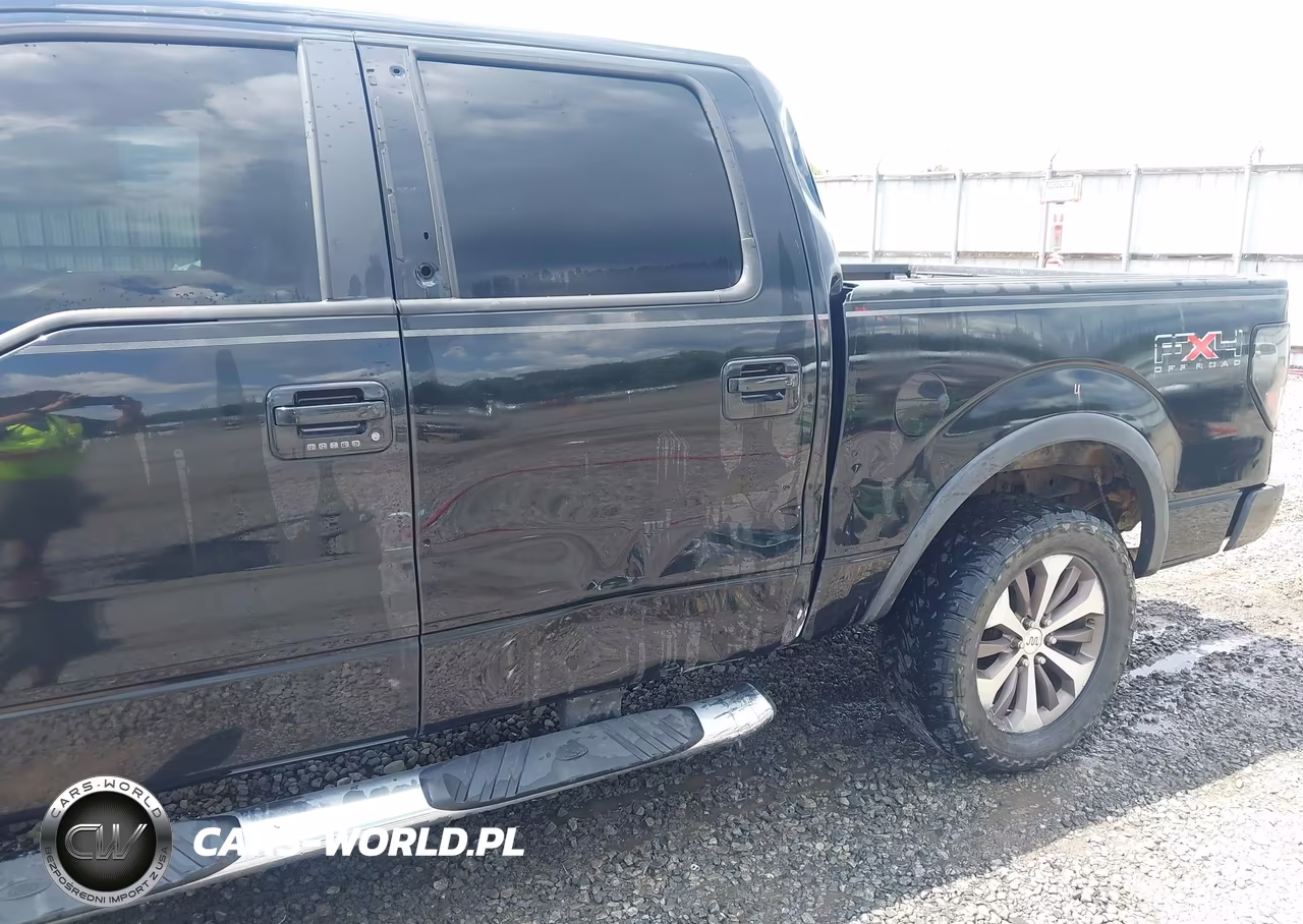 2010 Ford F-150 Fx4-Harley-Davidson-King Ranch-Lariat-Platinum-Xl-Xlt VIN:1FTFW1EV2AFA27279 - 6