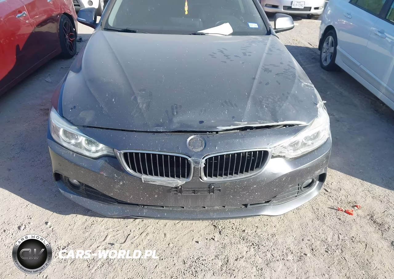2015 BMW 428I VIN:WBA3N3C52FK234495 - 12