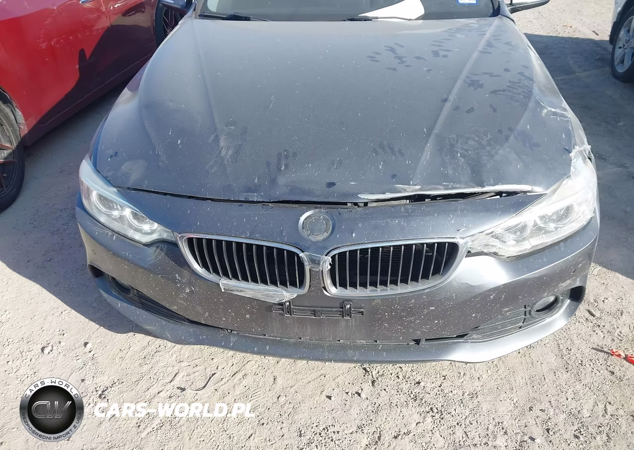 2015 BMW 428I VIN:WBA3N3C52FK234495 - 6