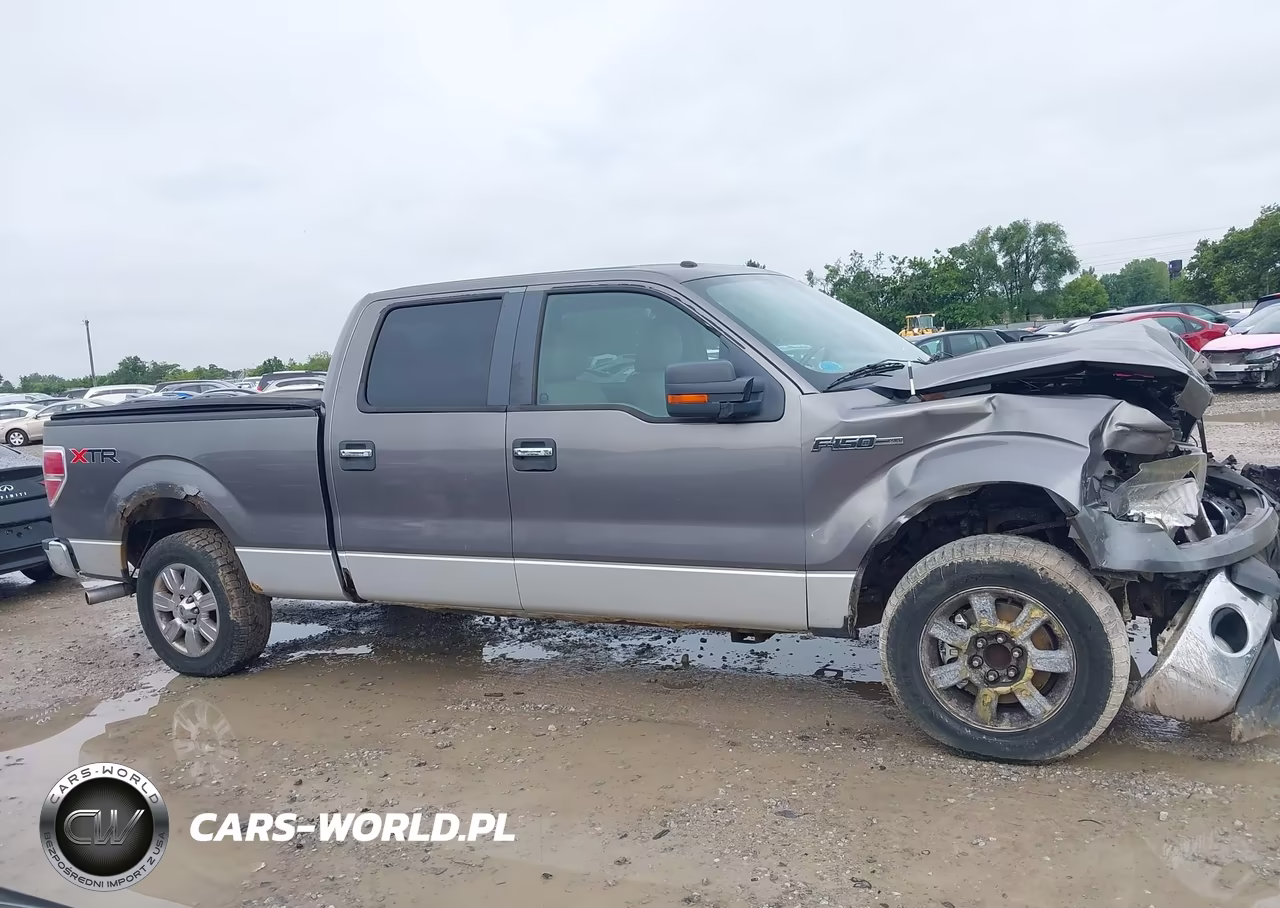 2010 Ford F-150 Fx2 Sport-Harley-Davidson-King Ranch-Lariat-Platinum-Xl-Xlt VIN:1FTFW1CV5AFC25504 - 14