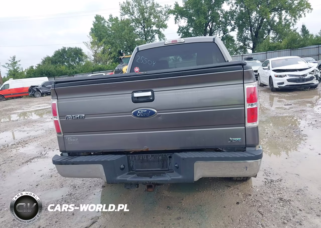 2010 Ford F-150 Fx2 Sport-Harley-Davidson-King Ranch-Lariat-Platinum-Xl-Xlt VIN:1FTFW1CV5AFC25504 - 17