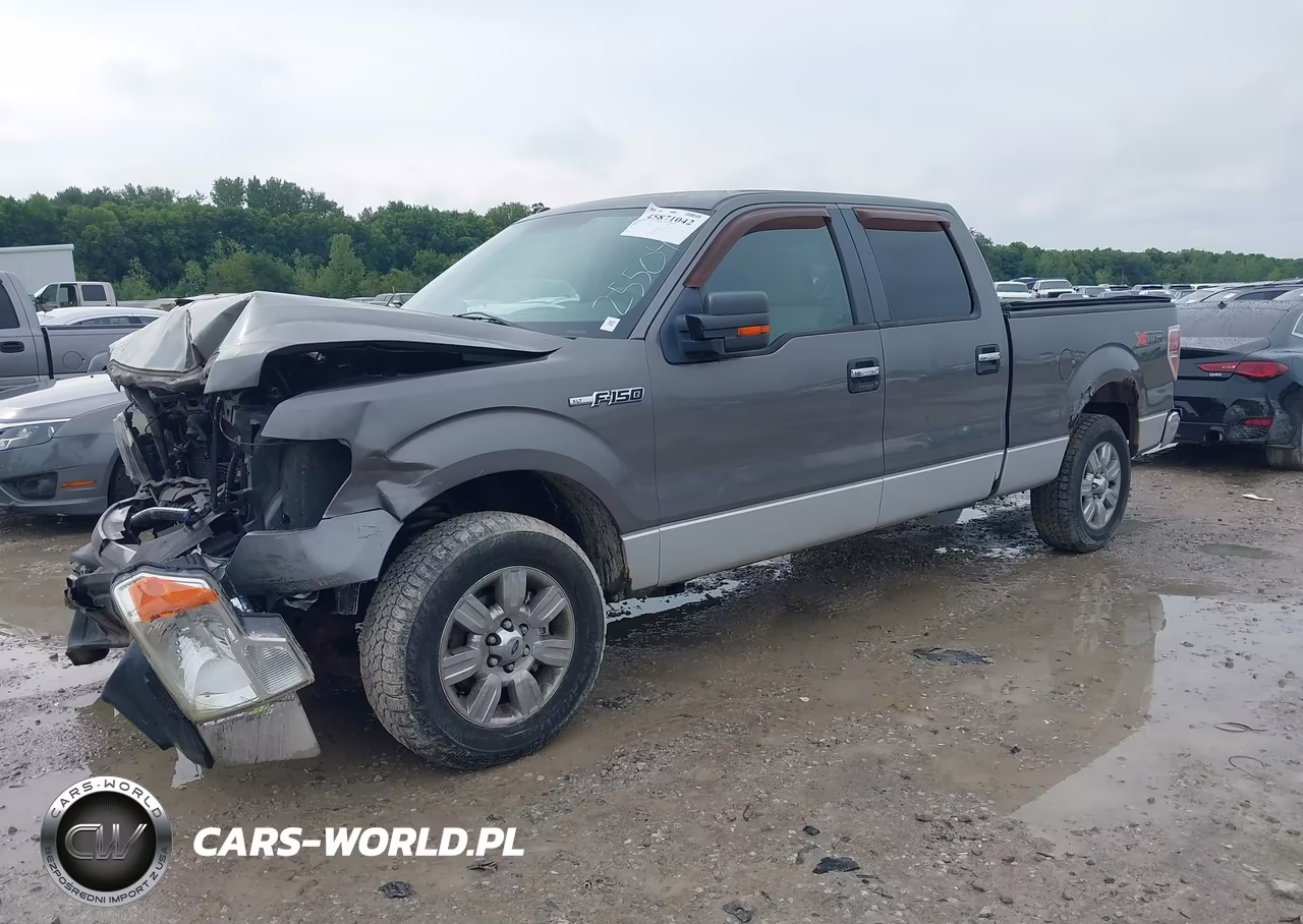 2010 Ford F-150 Fx2 Sport-Harley-Davidson-King Ranch-Lariat-Platinum-Xl-Xlt VIN:1FTFW1CV5AFC25504 - 2
