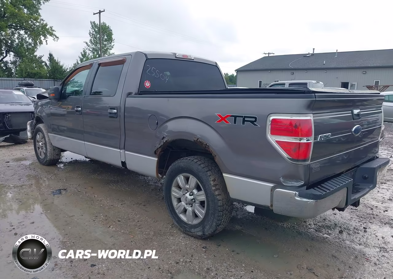2010 Ford F-150 Fx2 Sport-Harley-Davidson-King Ranch-Lariat-Platinum-Xl-Xlt VIN:1FTFW1CV5AFC25504 - 3