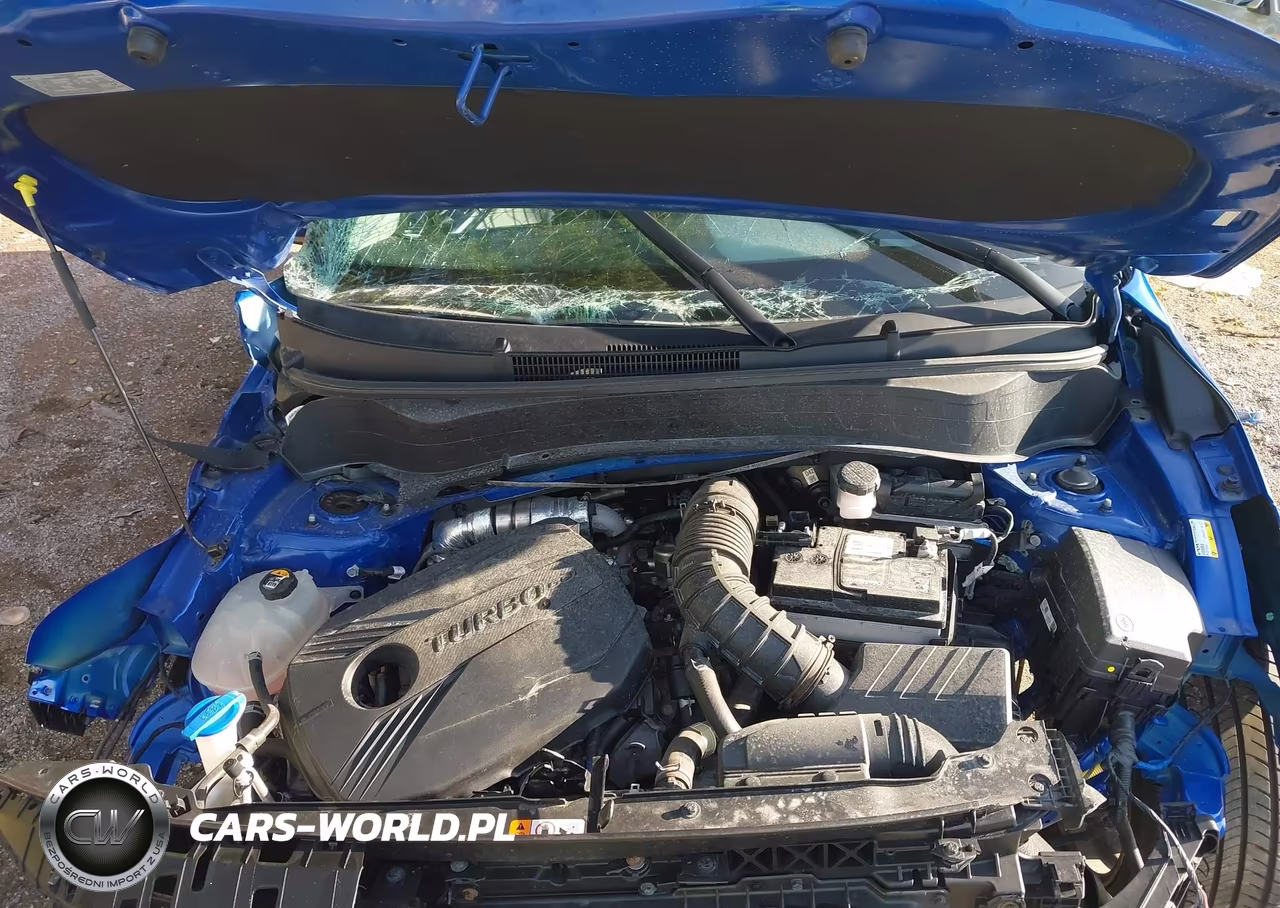 2023 Kia Seltos Sx Turbo VIN:KNDETCA2XP7412684 - 10