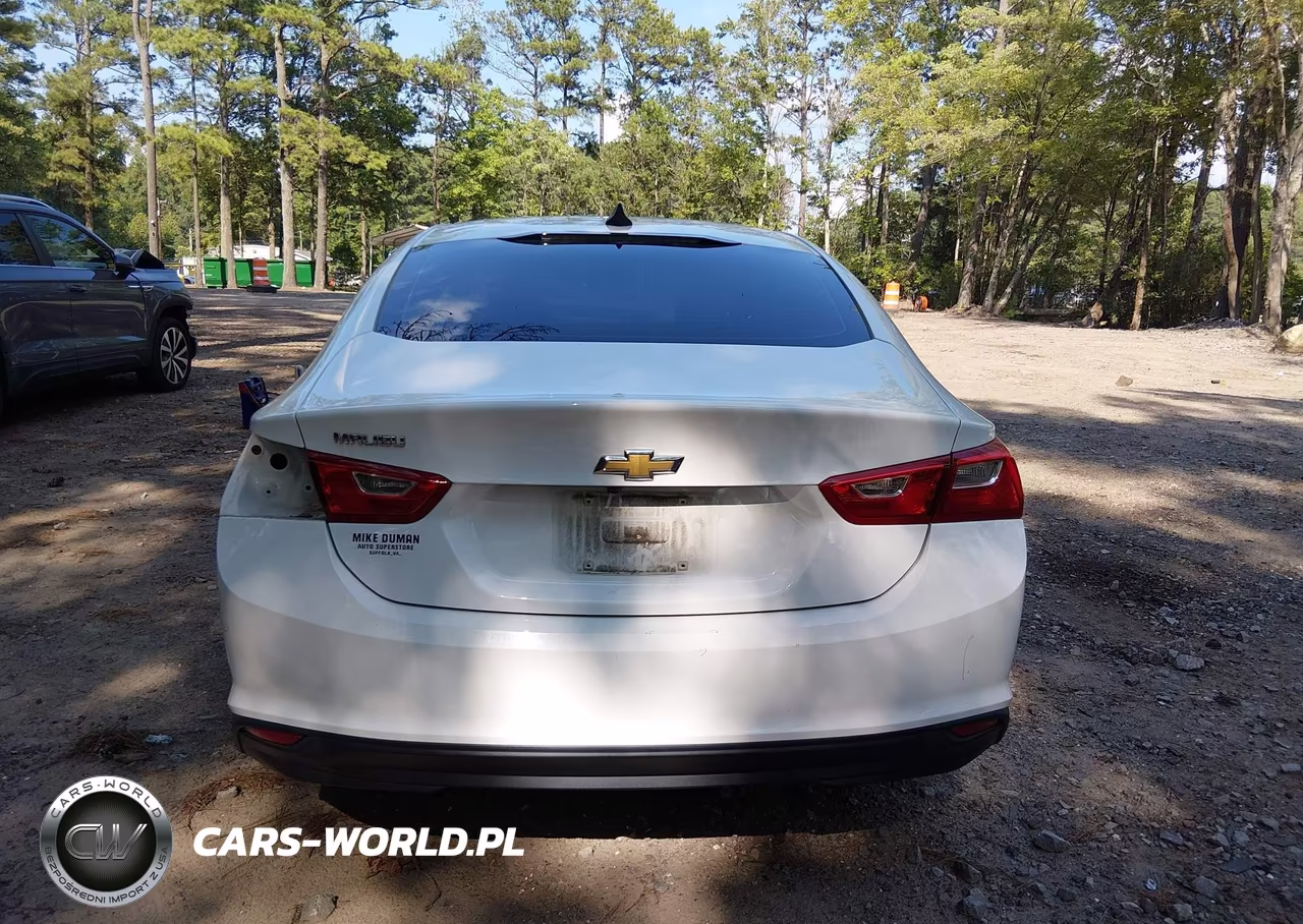 2017 Chevrolet Malibu 1Fl VIN:1G1ZC5ST1HF285831 - 17