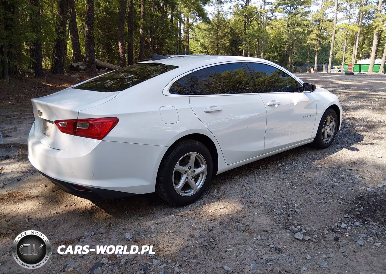 2017 Chevrolet Malibu 1Fl VIN:1G1ZC5ST1HF285831 - 4