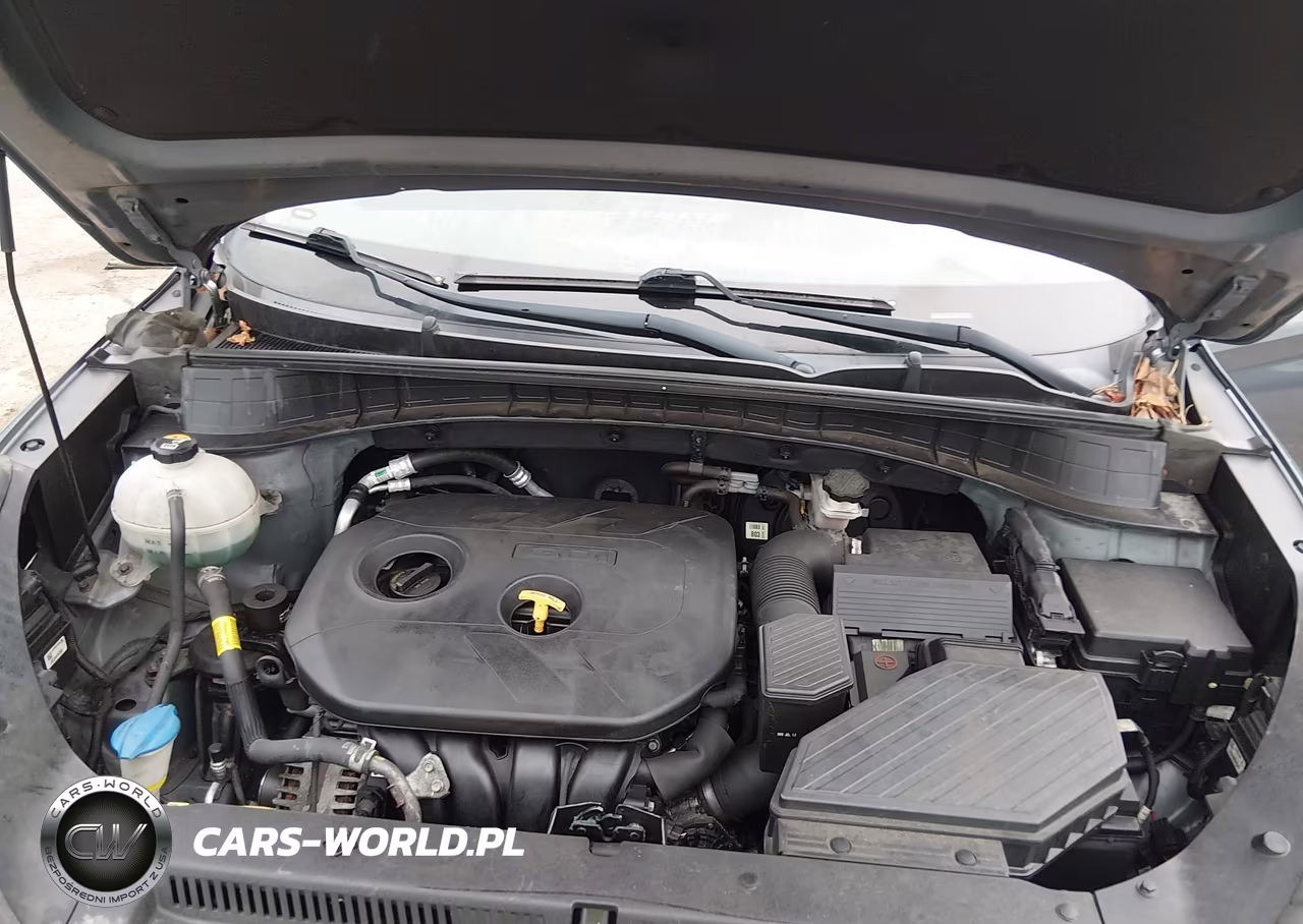 2019 Hyundai Tucson Se VIN:KM8J2CA46KU990824 - 10