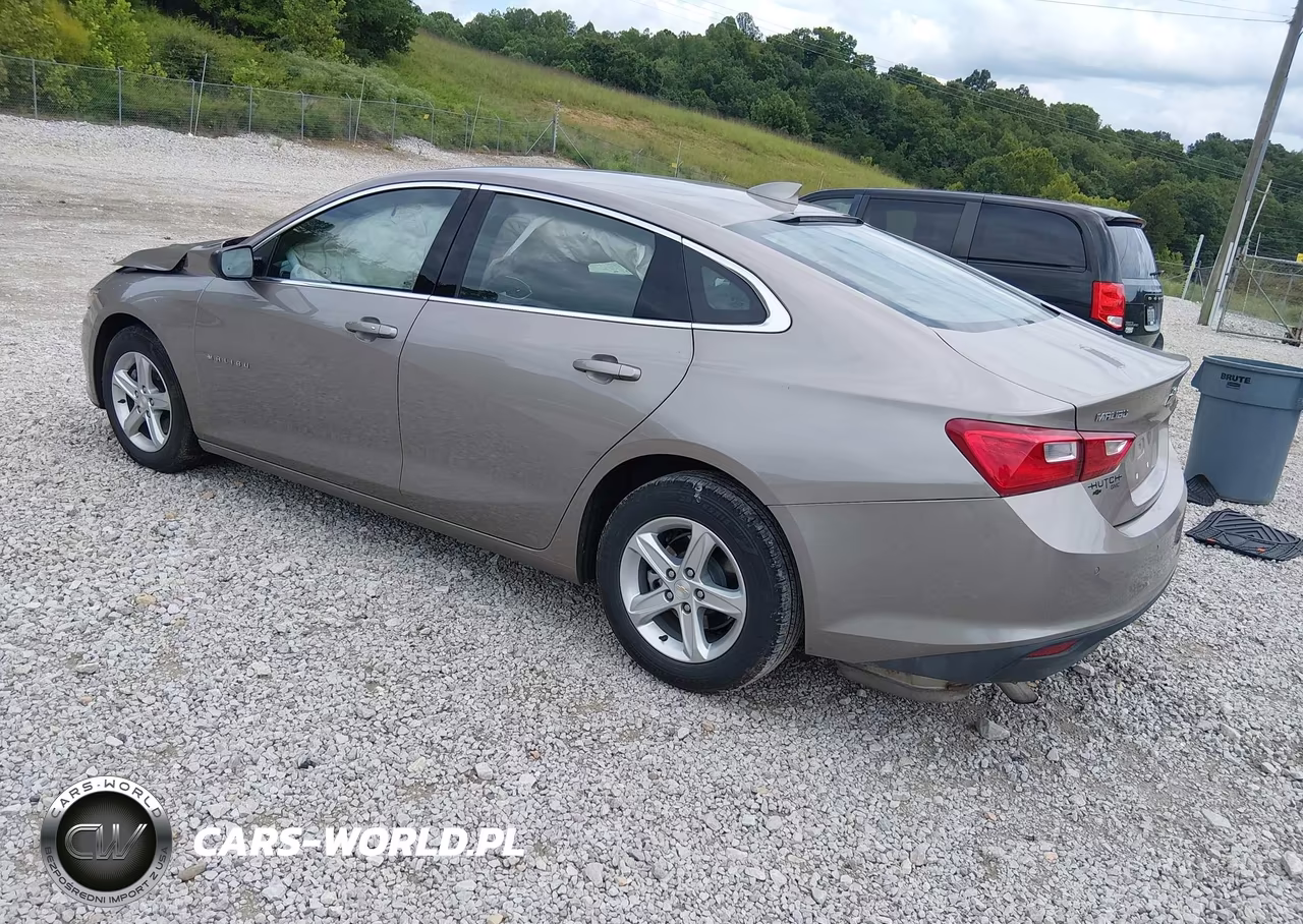 2024 Chevrolet Malibu Fwd 1Lt VIN:1G1ZD5STXRF169154 - 3