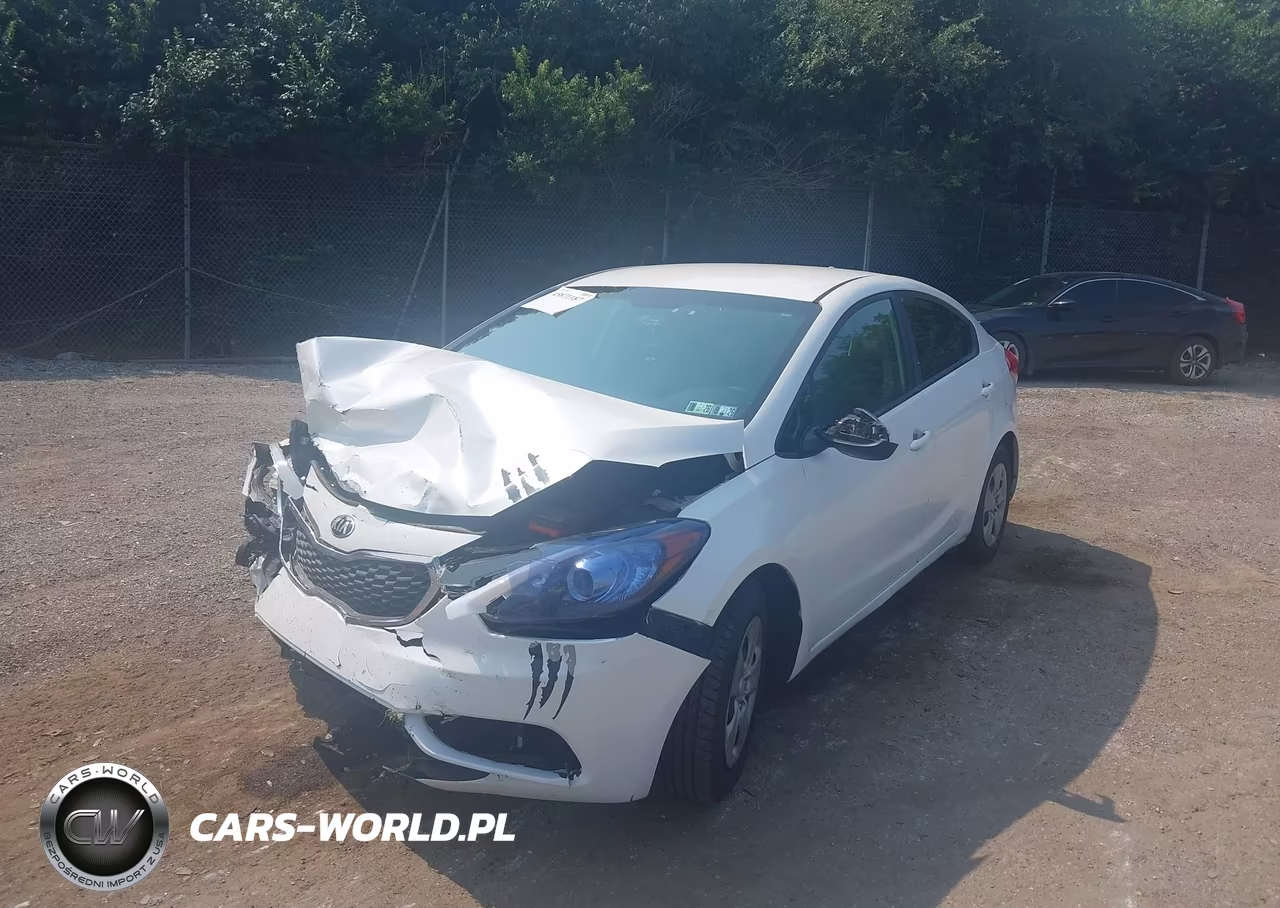 2015 Kia Forte Lx VIN:KNAFX4A66F5325454 - 2