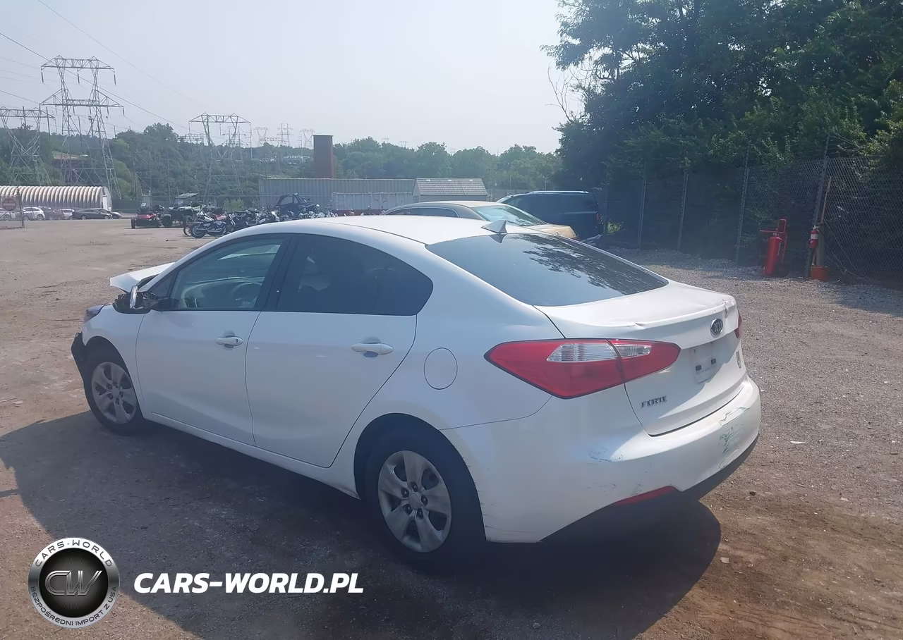 2015 Kia Forte Lx VIN:KNAFX4A66F5325454 - 3