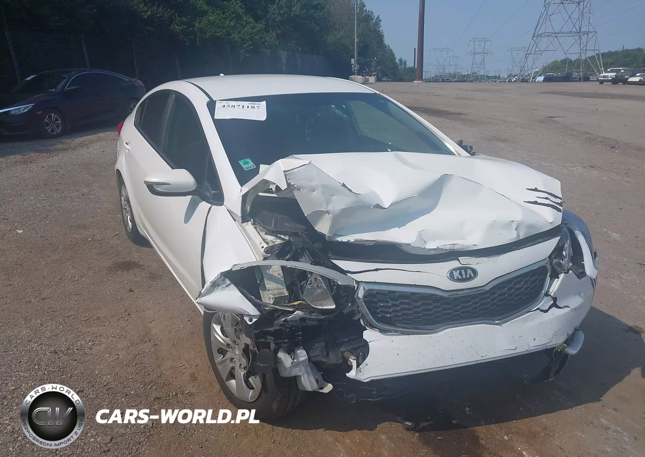 2015 Kia Forte Lx VIN:KNAFX4A66F5325454 - 6