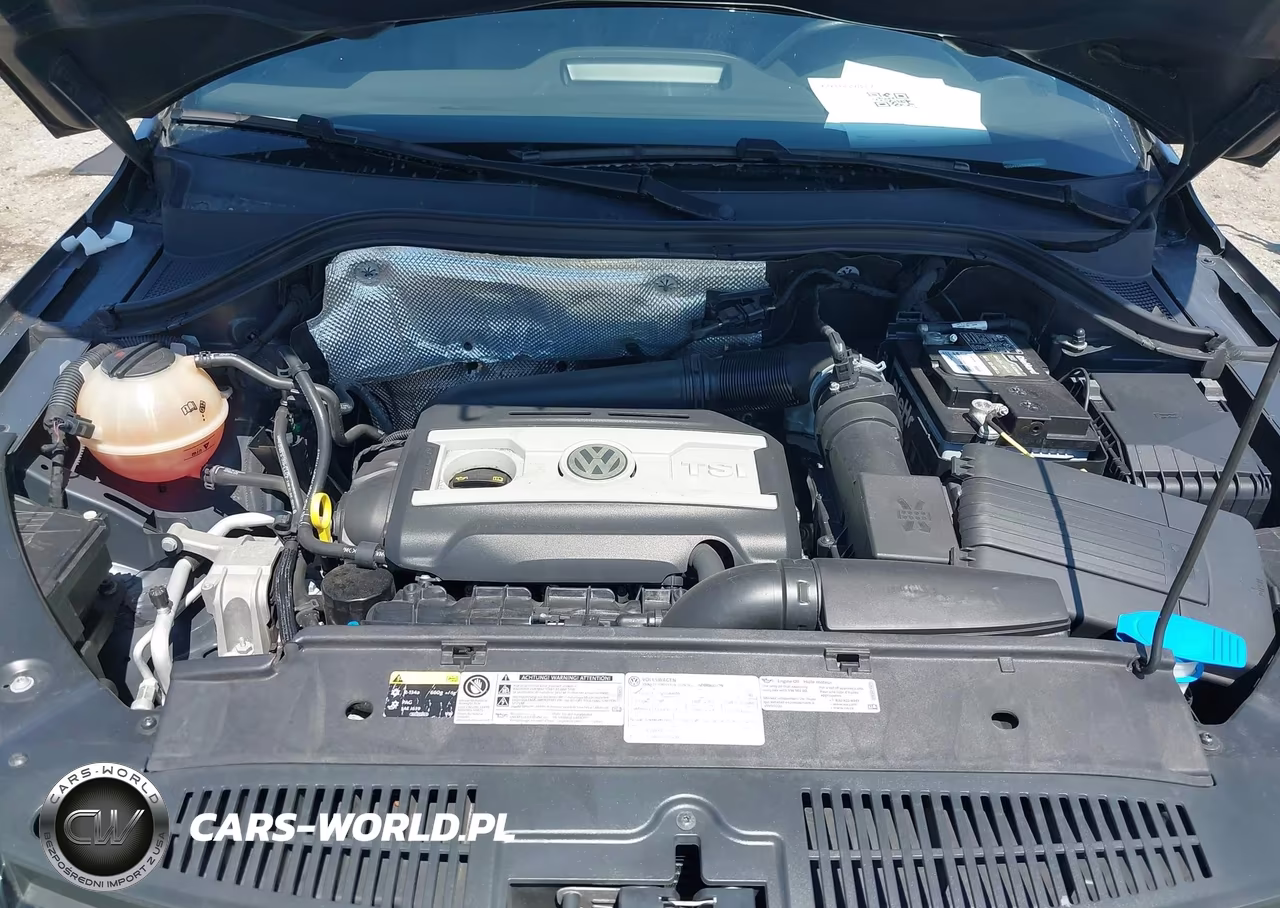 2014 Volkswagen Tiguan R-Line VIN:WVGAV3AX8EW560609 - 10