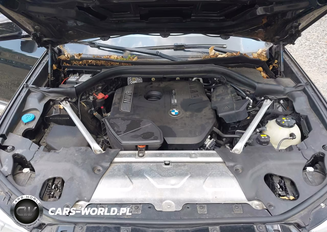2019 BMW X3 Sdrive30I VIN:5UXTR7C51KLE88896 - 10