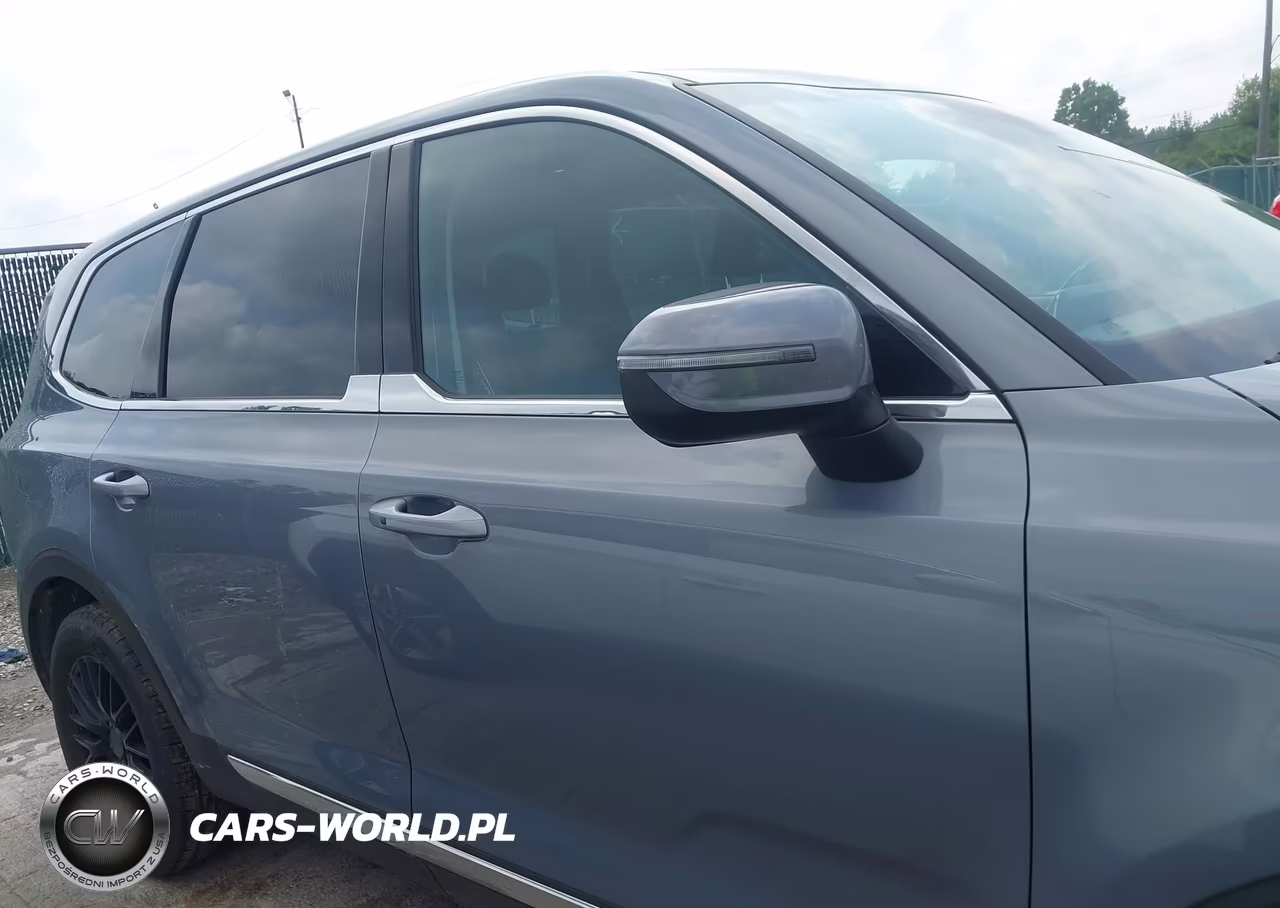 2022 Kia Telluride Lx VIN:5XYP2DHCXNG284365 - 13