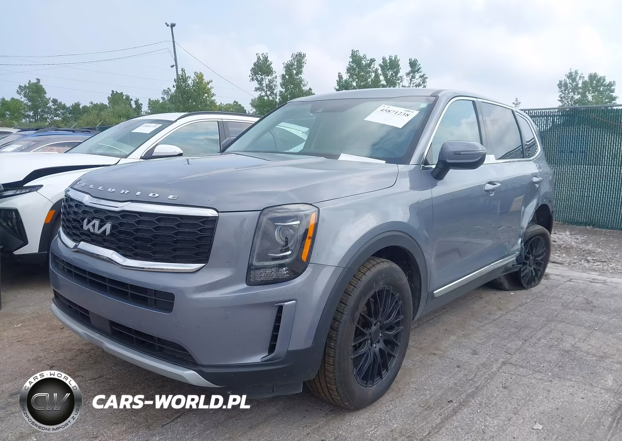 2022 Kia Telluride Lx VIN:5XYP2DHCXNG284365 - 2