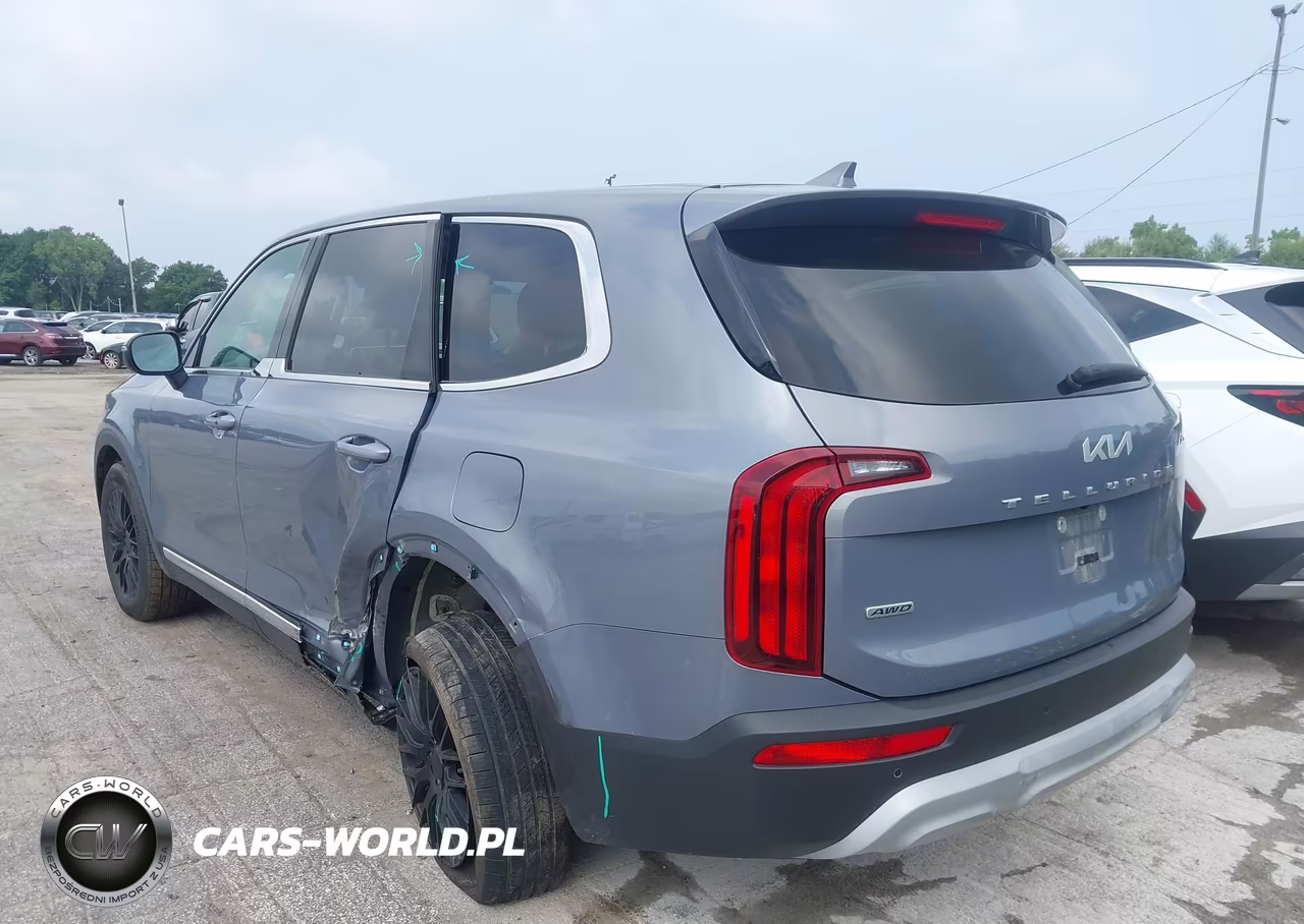 2022 Kia Telluride Lx VIN:5XYP2DHCXNG284365 - 3
