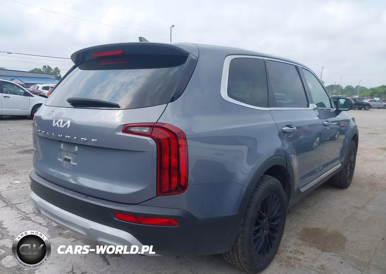 2022 Kia Telluride Lx VIN:5XYP2DHCXNG284365 - 4