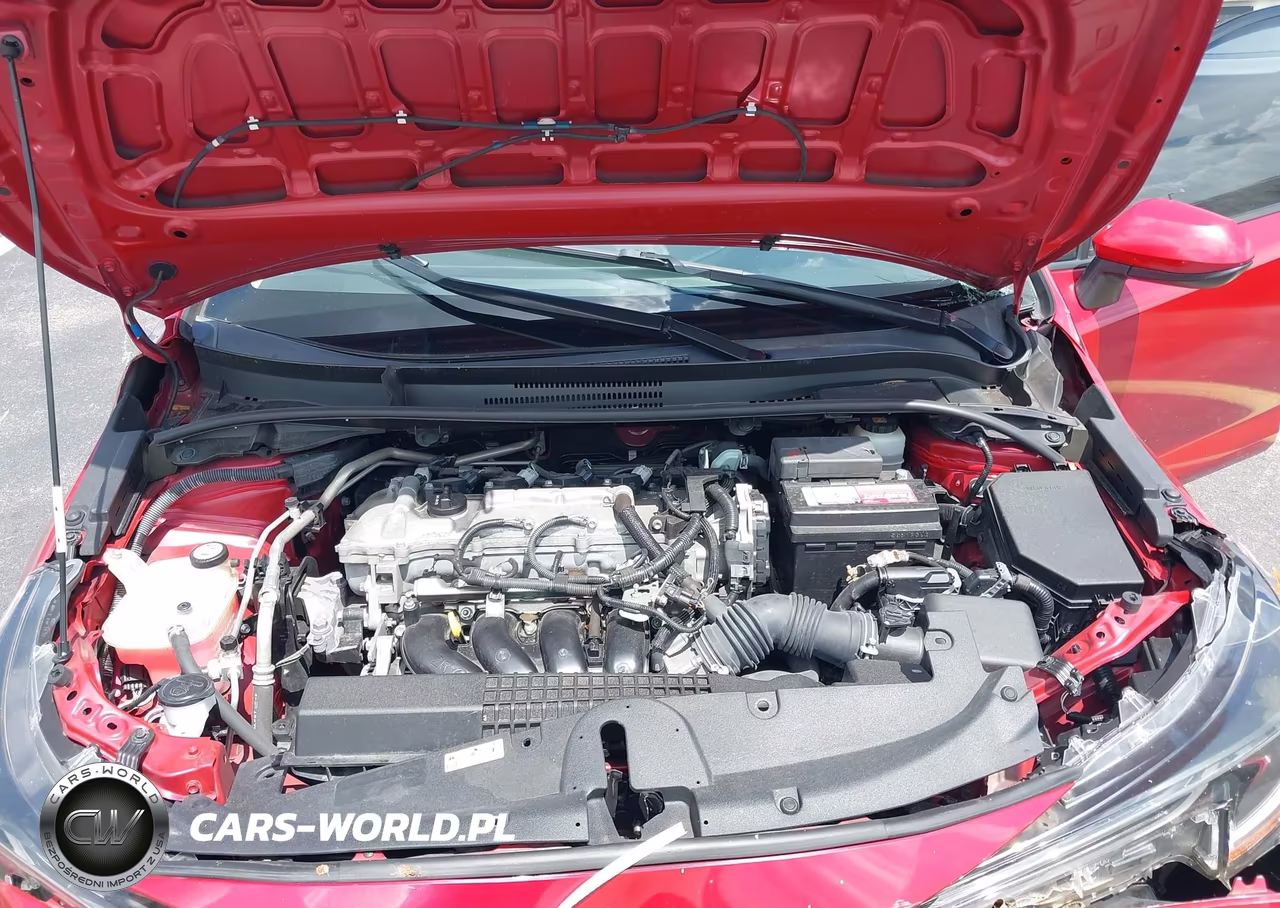 2020 Toyota Corolla Le VIN:JTDEPRAE4LJ101489 - 10