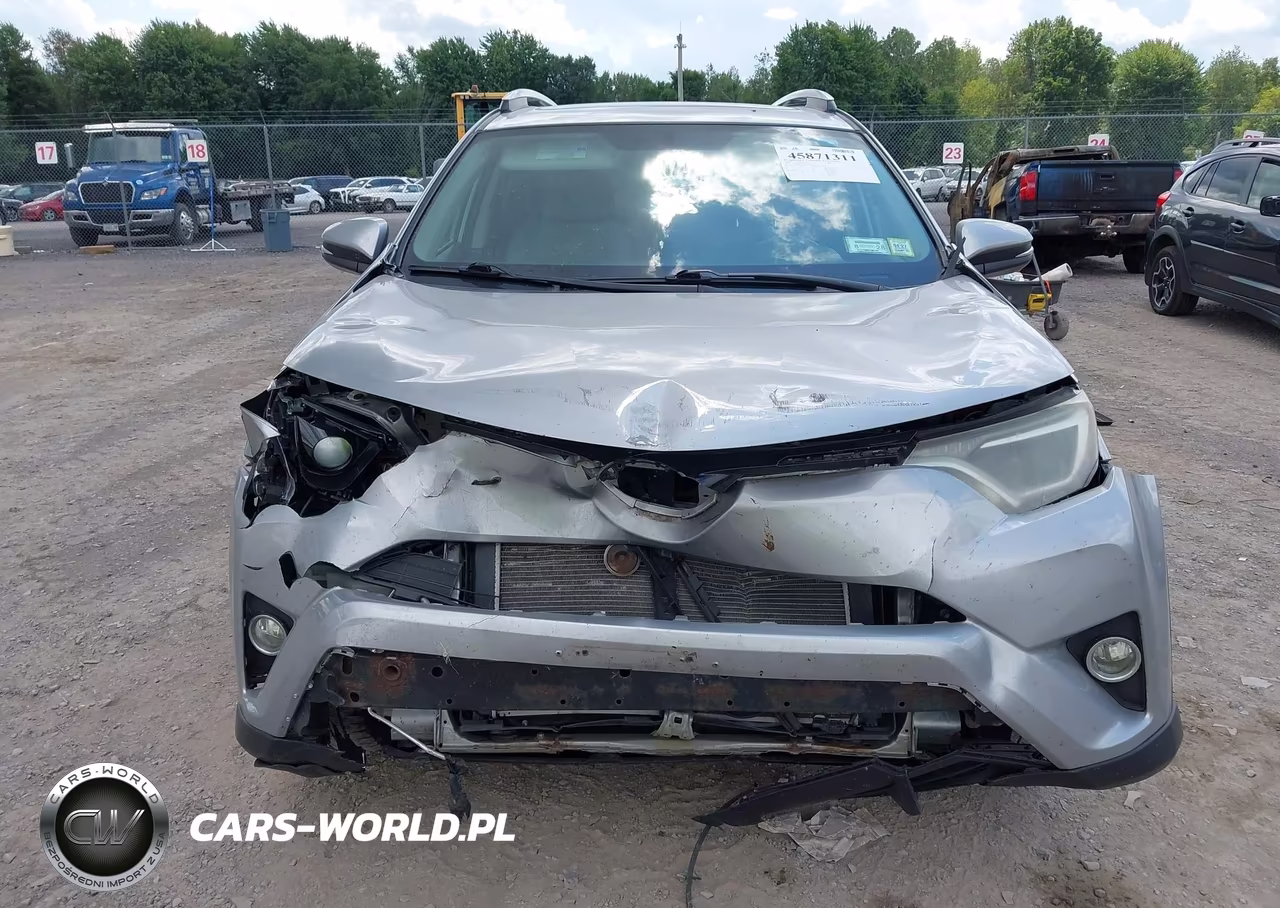 2016 Toyota Rav4 Xle VIN:2T3RFREV5GW485451 - 12