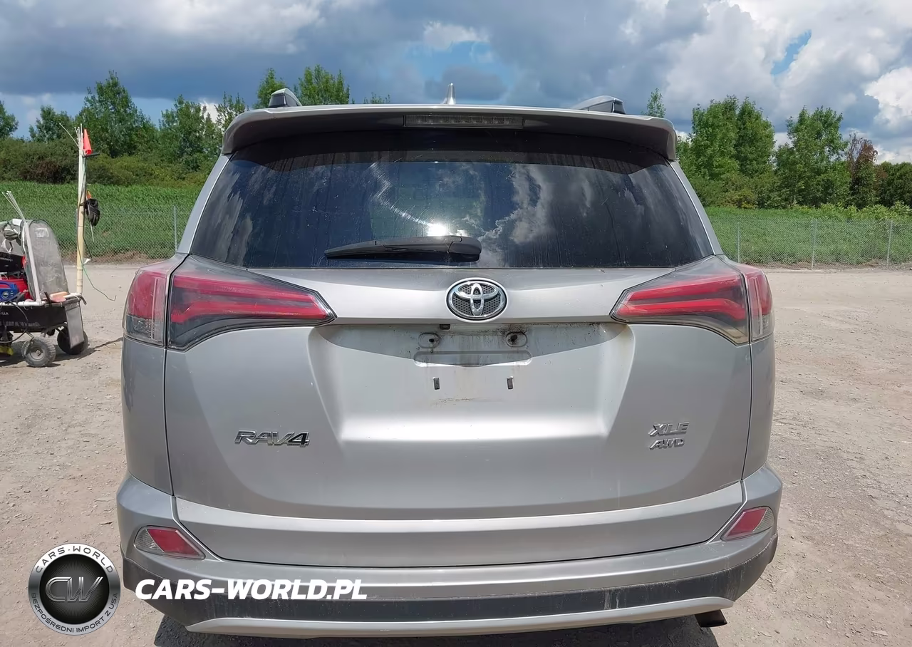 2016 Toyota Rav4 Xle VIN:2T3RFREV5GW485451 - 16