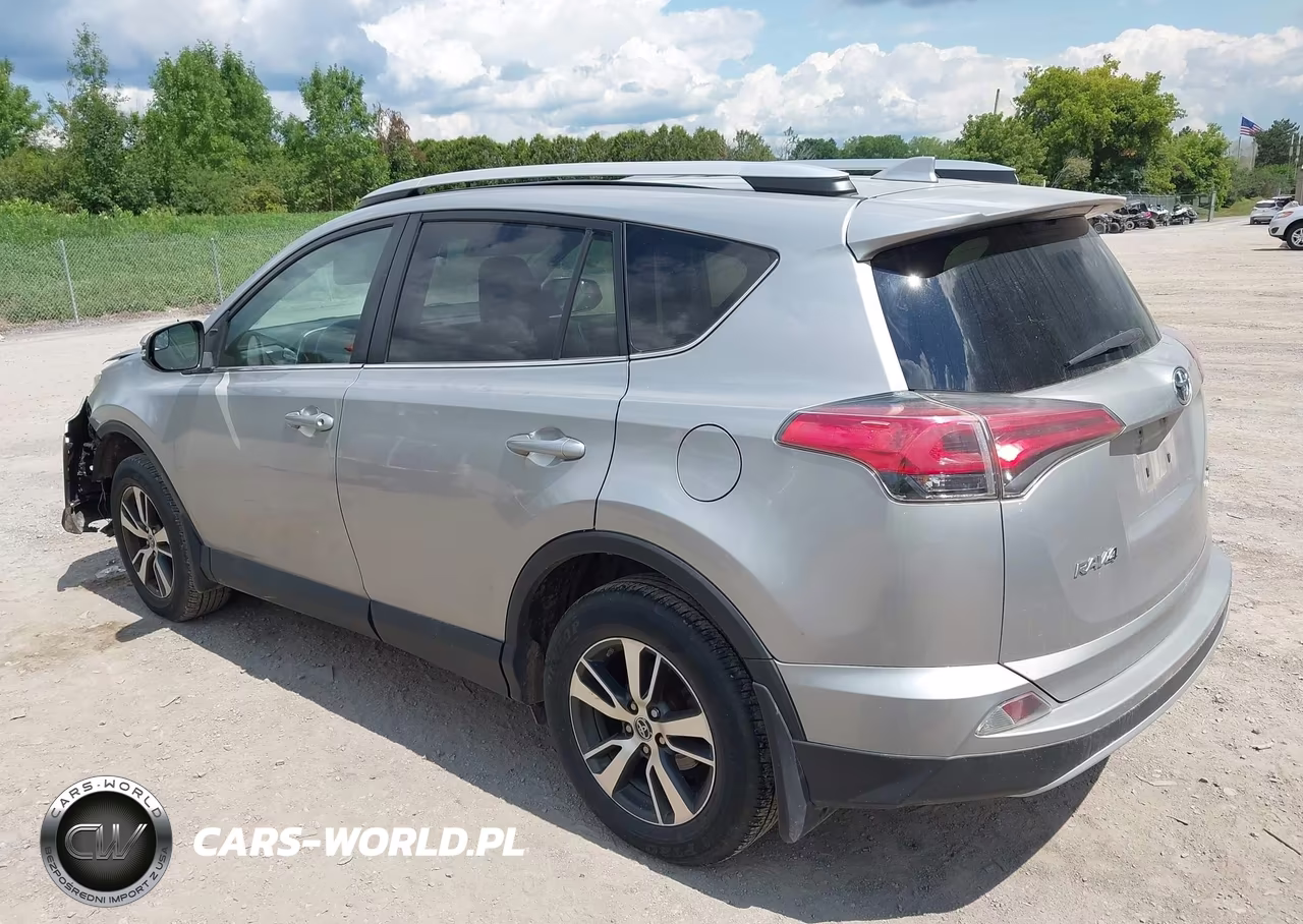 2016 Toyota Rav4 Xle VIN:2T3RFREV5GW485451 - 3
