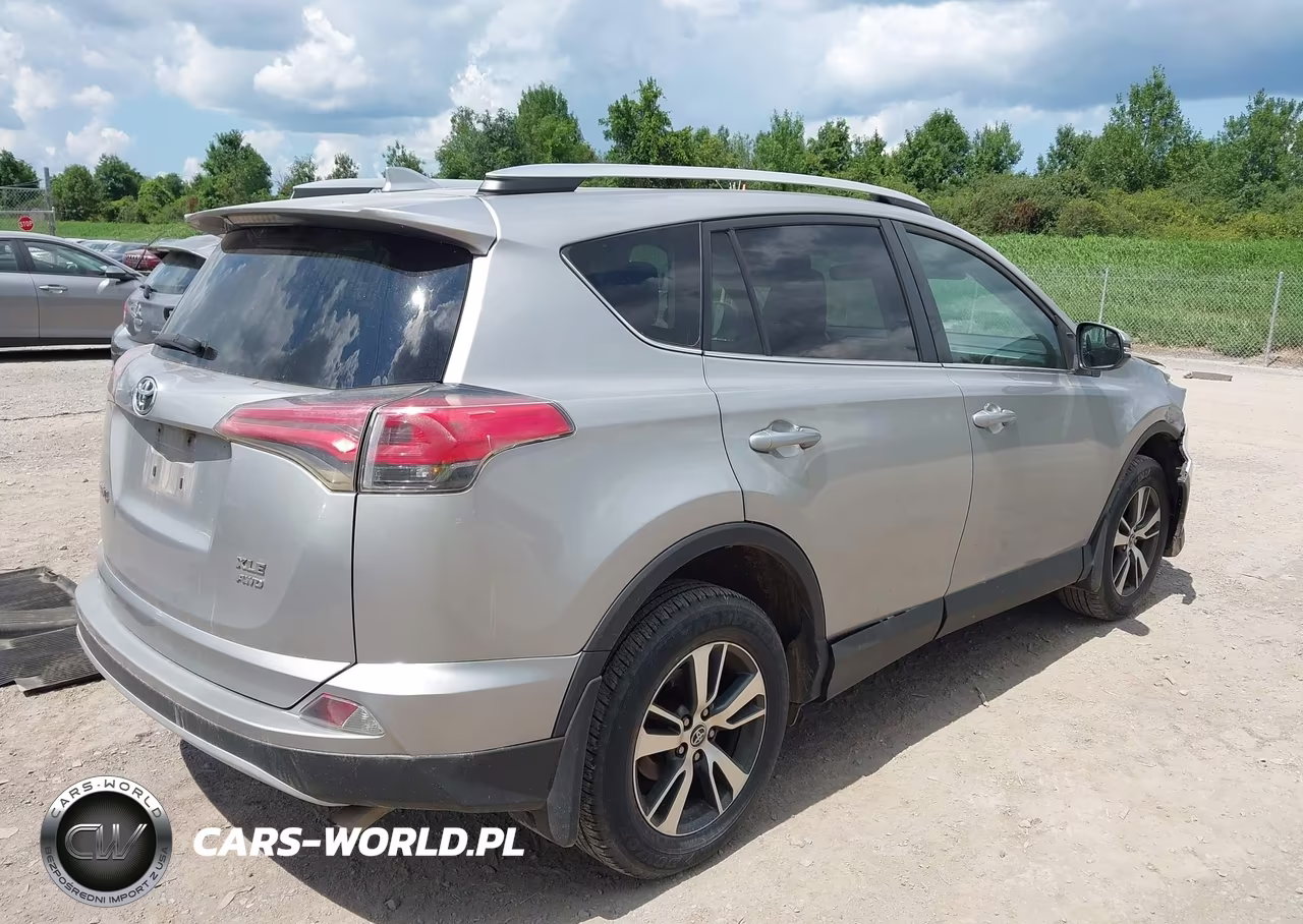 2016 Toyota Rav4 Xle VIN:2T3RFREV5GW485451 - 4