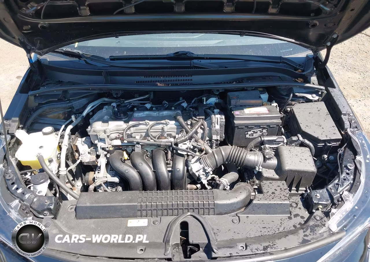 2020 Toyota Corolla Le VIN:JTDEPRAE0LJ102610 - 10