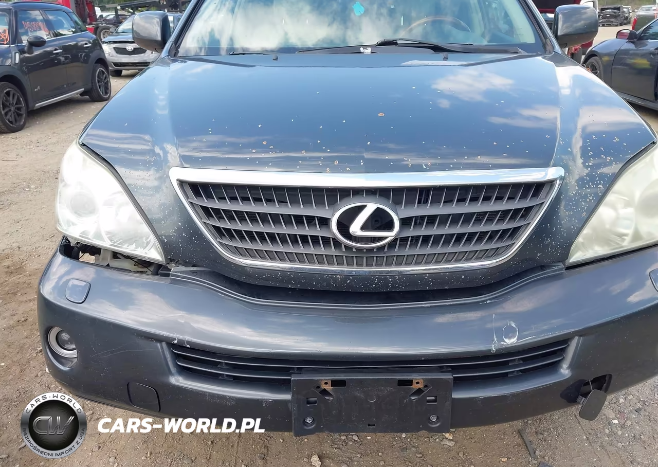 2007 Lexus Rx 400H VIN:JTJHW31U072032012 - 12
