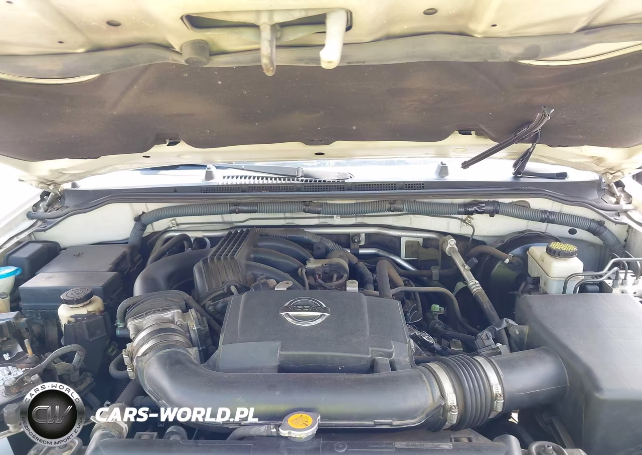 2010 Nissan Xterra S VIN:5N1AN0NU6AC524055 - 10