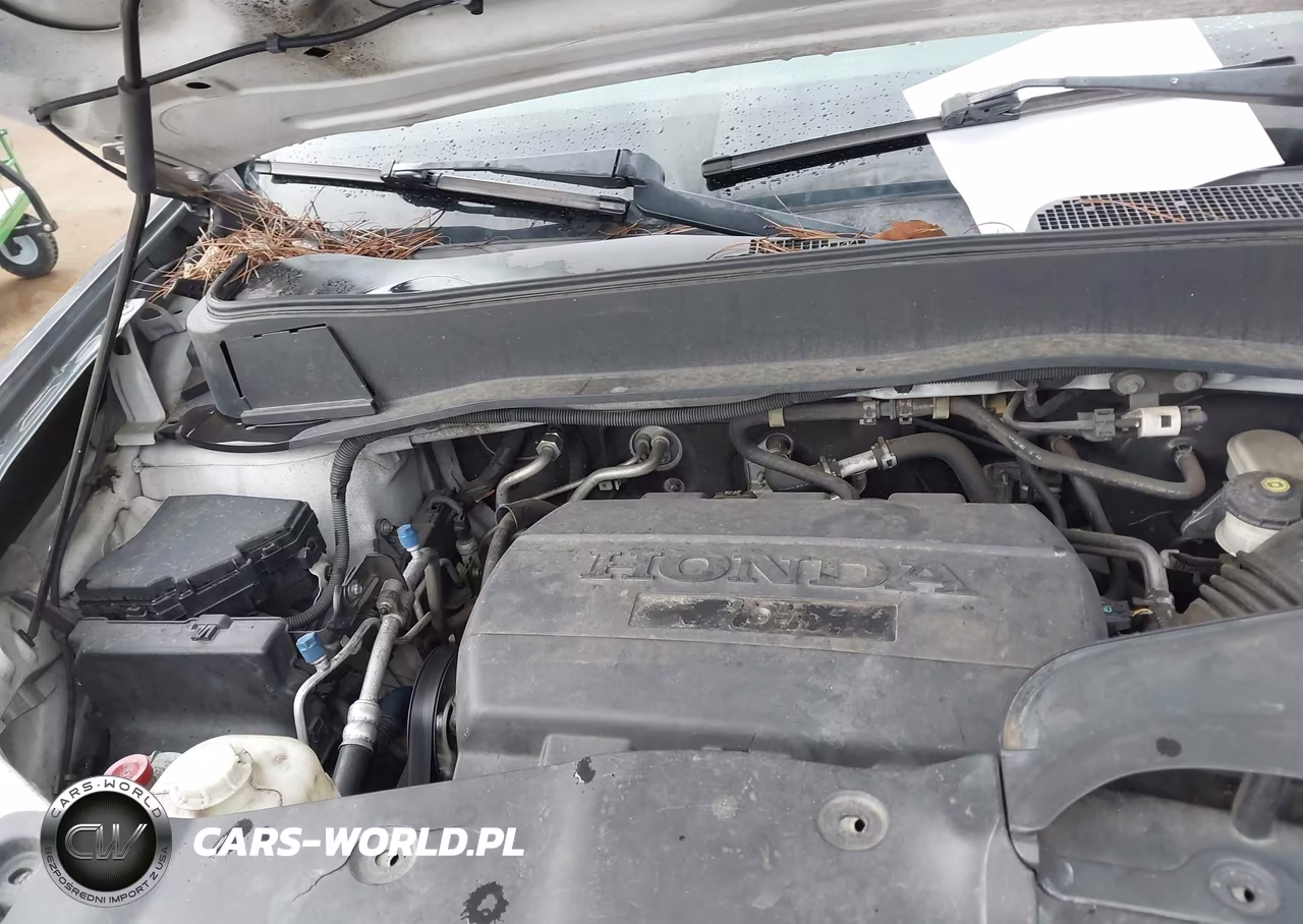 2009 Honda Pilot Ex-L VIN:5FNYF38699B018426 - 10