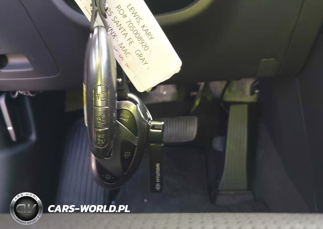 2025 Hyundai Santa Fe Calligraphy VIN:5NMP5DGL5SH140913 - 11
