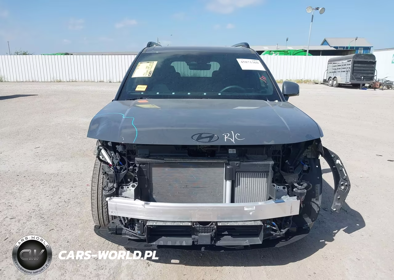 2025 Hyundai Santa Fe Calligraphy VIN:5NMP5DGL5SH140913 - 13