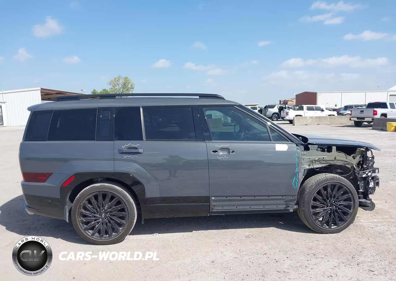 2025 Hyundai Santa Fe Calligraphy VIN:5NMP5DGL5SH140913 - 14