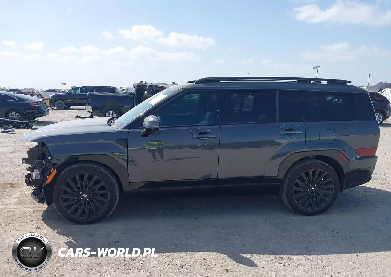 2025 Hyundai Santa Fe Calligraphy VIN:5NMP5DGL5SH140913 - 15