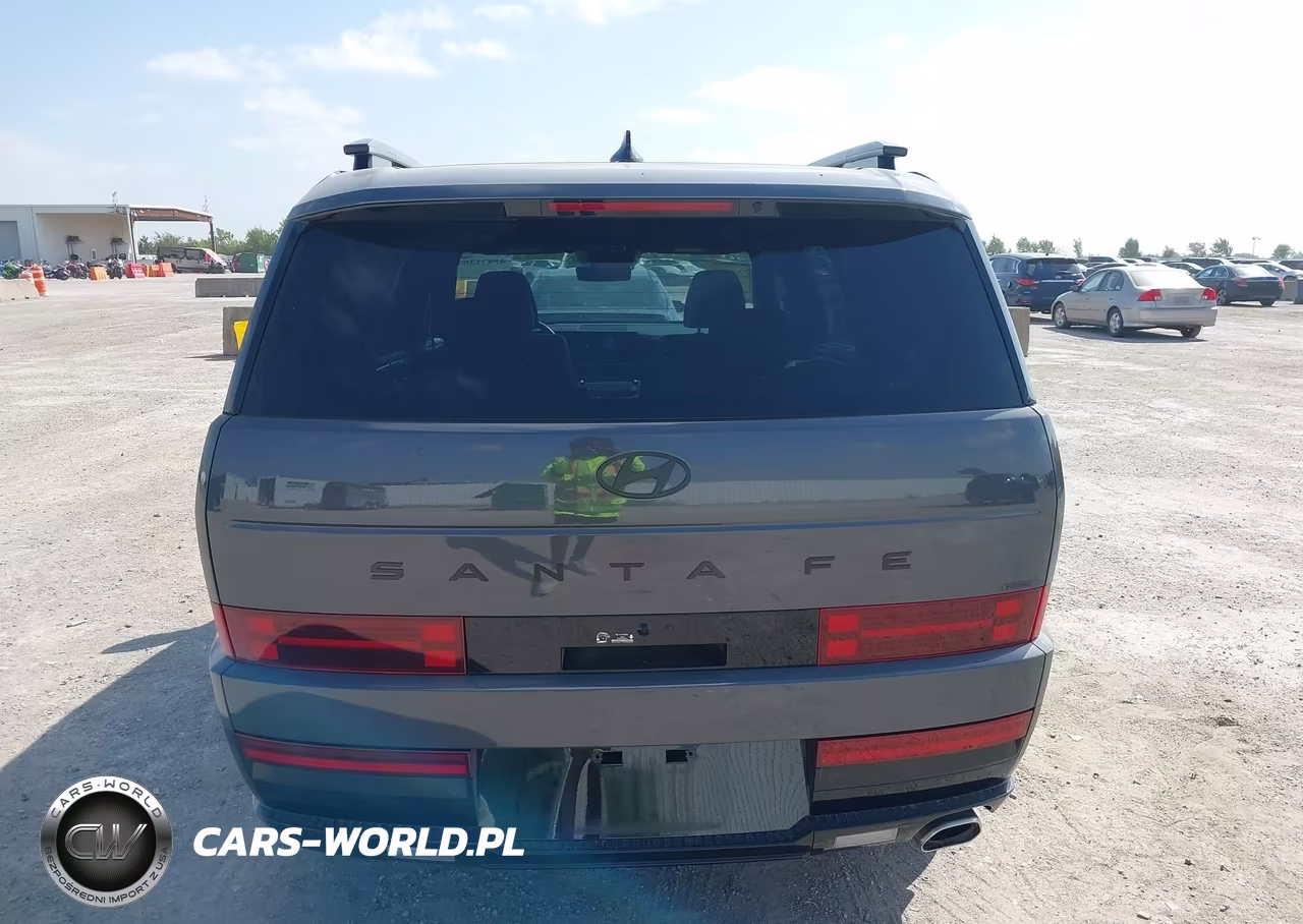 2025 Hyundai Santa Fe Calligraphy VIN:5NMP5DGL5SH140913 - 17