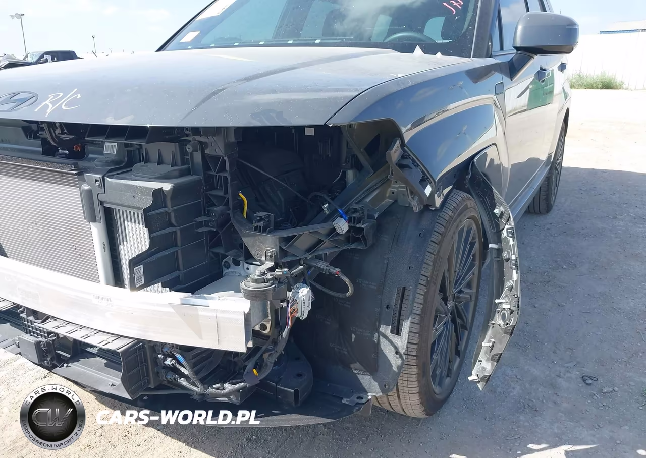 2025 Hyundai Santa Fe Calligraphy VIN:5NMP5DGL5SH140913 - 18