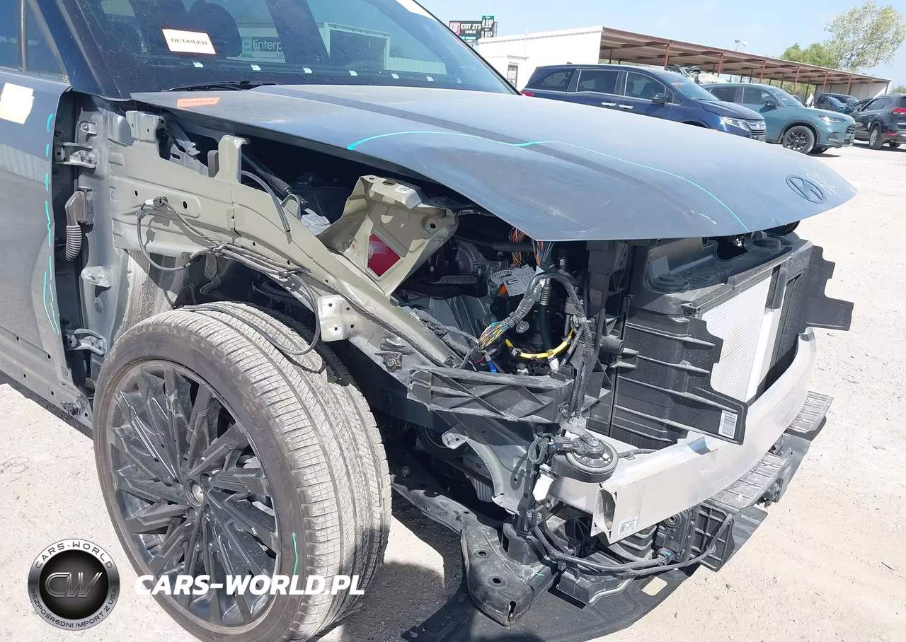 2025 Hyundai Santa Fe Calligraphy VIN:5NMP5DGL5SH140913 - 19