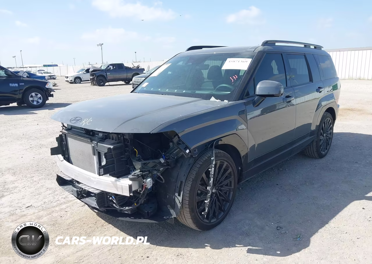 2025 Hyundai Santa Fe Calligraphy VIN:5NMP5DGL5SH140913 - 2