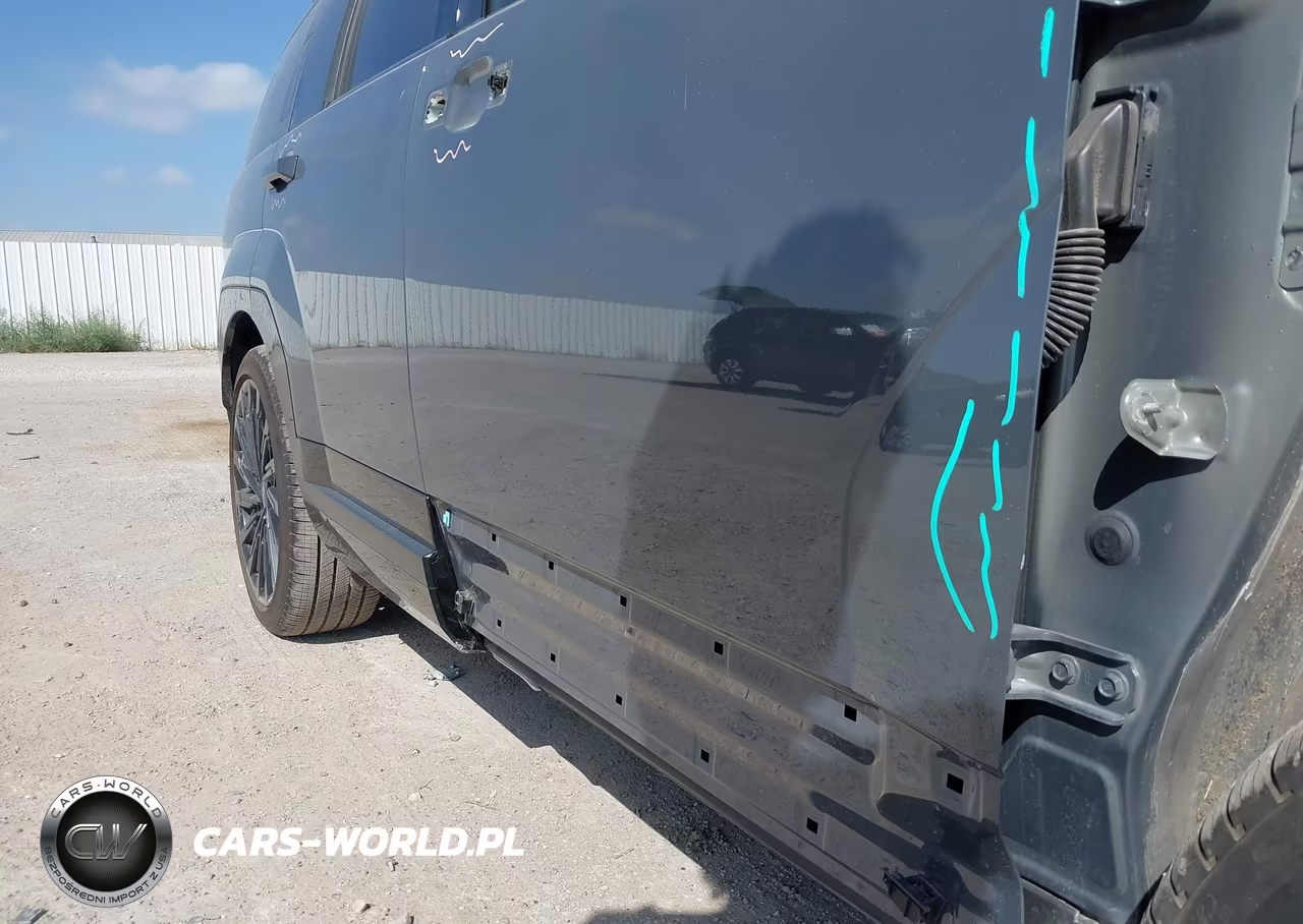 2025 Hyundai Santa Fe Calligraphy VIN:5NMP5DGL5SH140913 - 20