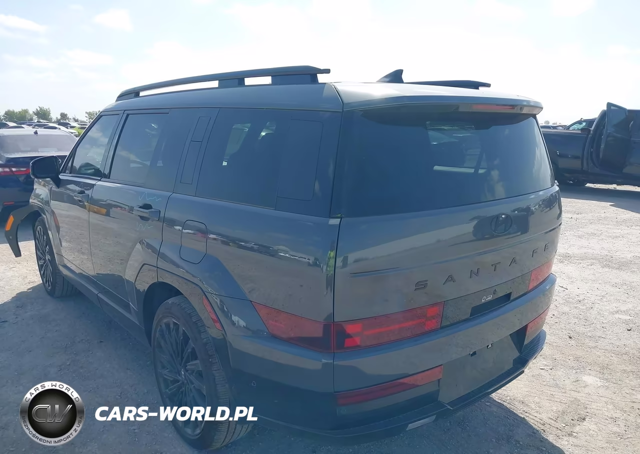 2025 Hyundai Santa Fe Calligraphy VIN:5NMP5DGL5SH140913 - 3
