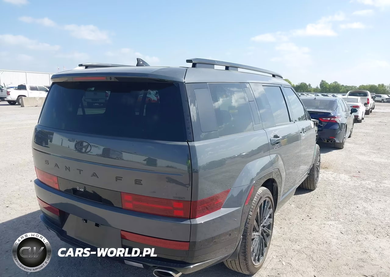 2025 Hyundai Santa Fe Calligraphy VIN:5NMP5DGL5SH140913 - 4