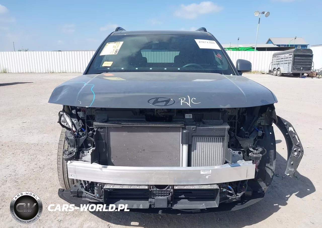 2025 Hyundai Santa Fe Calligraphy VIN:5NMP5DGL5SH140913 - 6