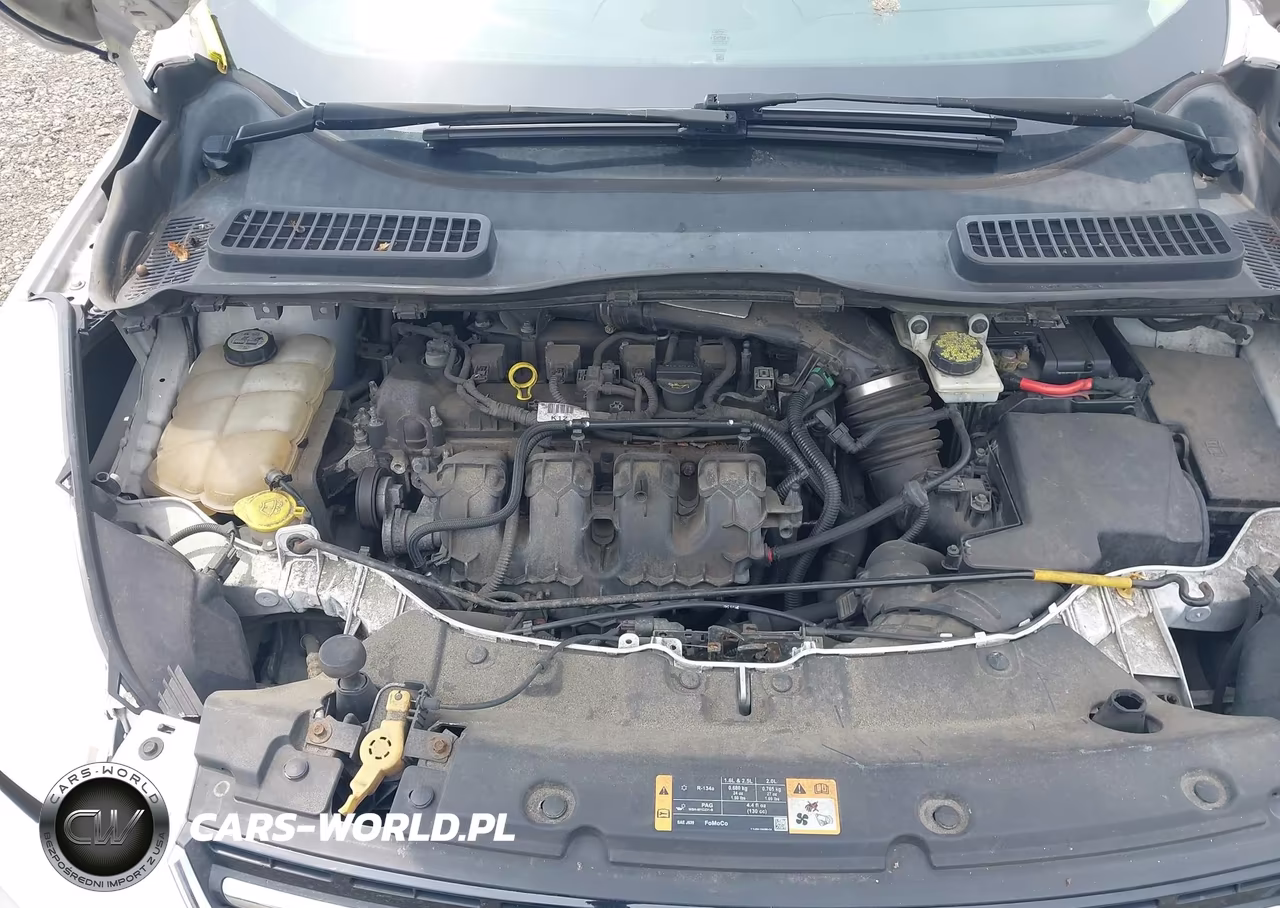 2013 Ford Escape Sel VIN:1FMCU9H97DUA61171 - 10