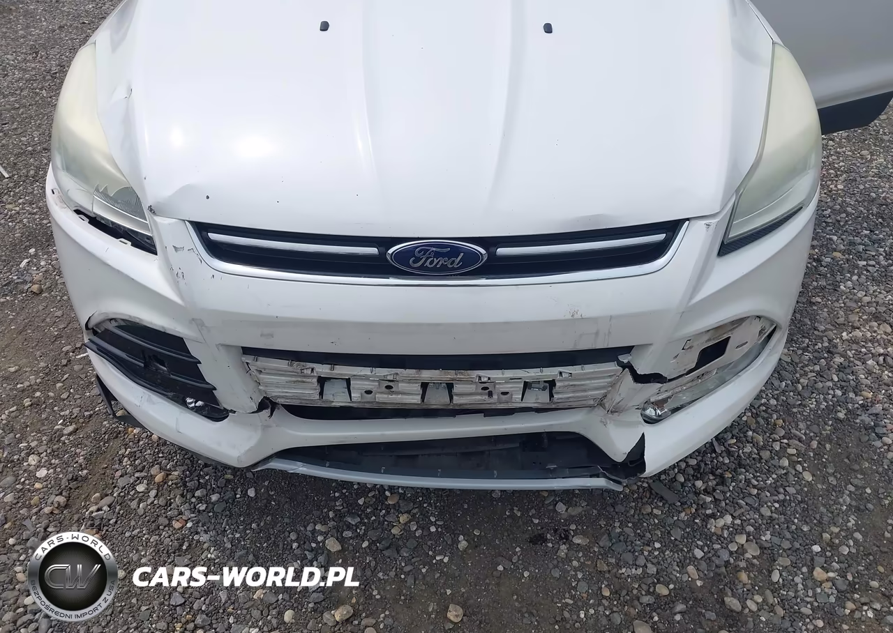 2013 Ford Escape Sel VIN:1FMCU9H97DUA61171 - 6