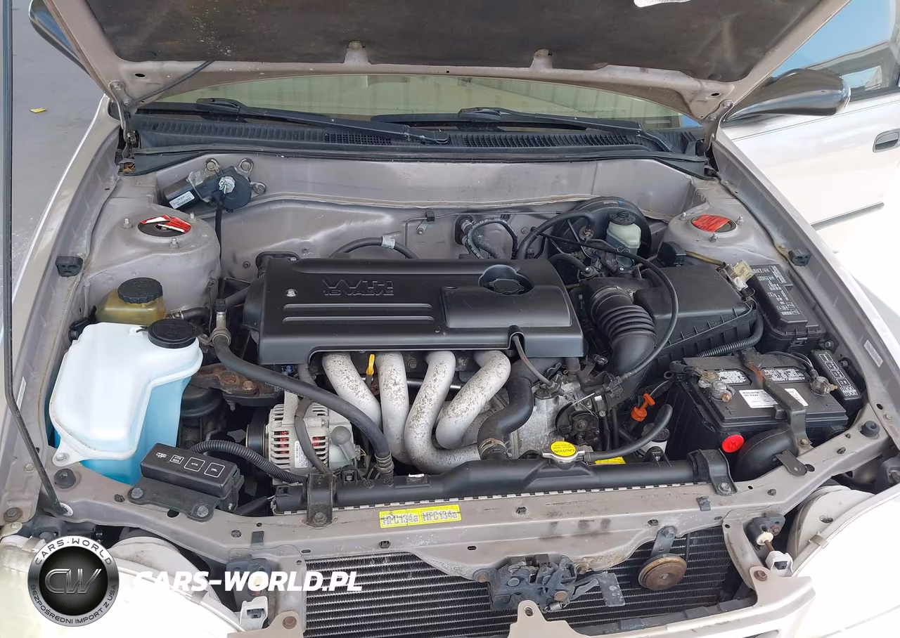 2000 Toyota Corolla Ce VIN:1NXBR12E1YZ334387 - 10