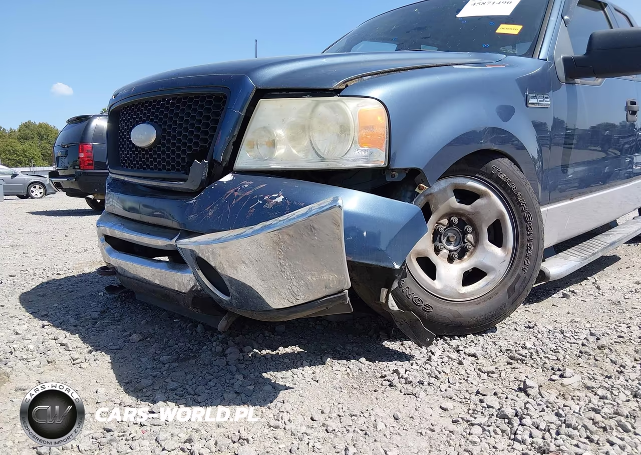 2006 Ford F-150 Fx4-Lariat-Xl-Xlt VIN:1FTPX14536FA09349 - 6